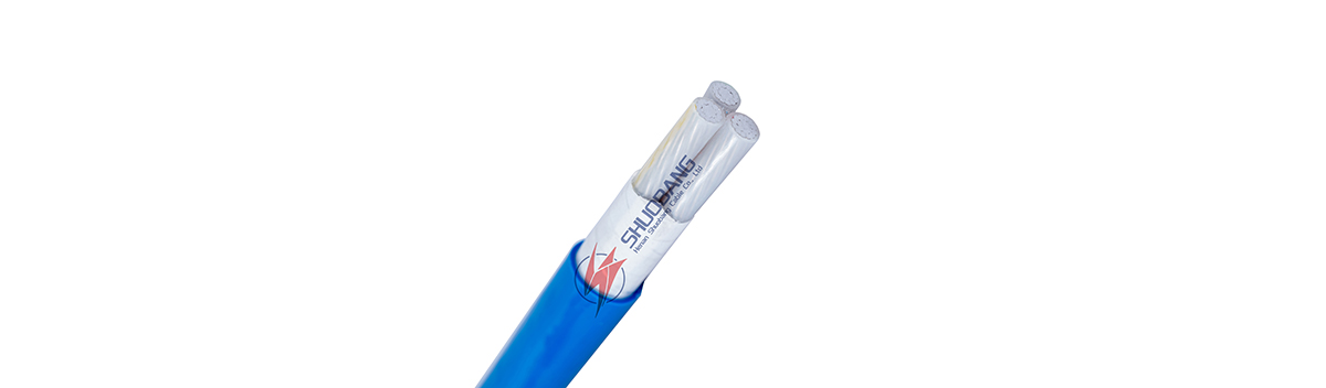 IECBS standard PVC Insulated LV Power Cable